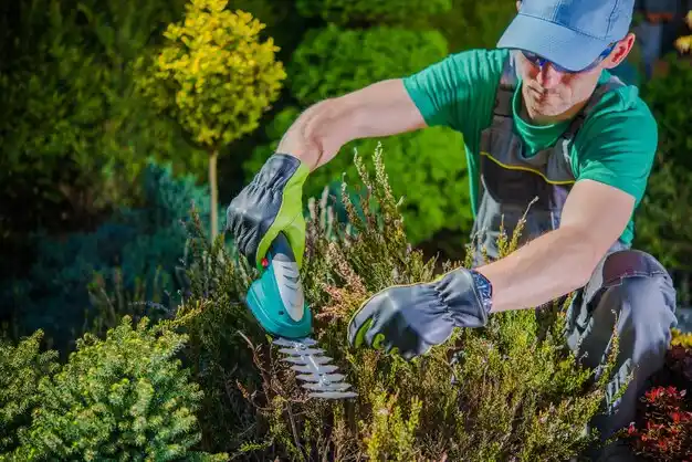 landscaping services Lake Lotawana